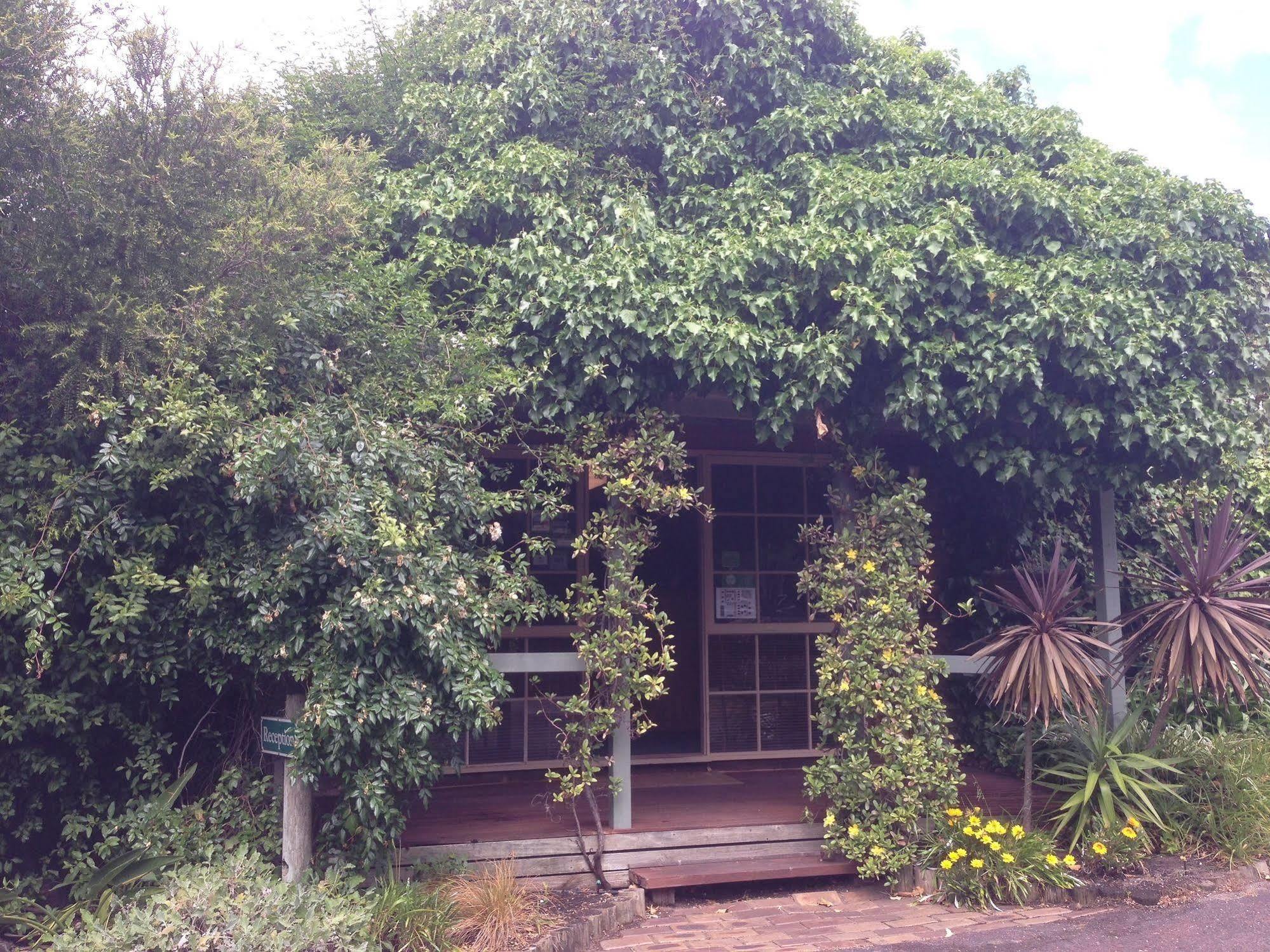 Ti-Tree Village Ocean Grove Exterior foto